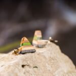 Clous d'oreille en skateboard recyclé (la paire) N°17 – Image 2