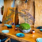 11 - Kokedama - Erable Nain du Japon