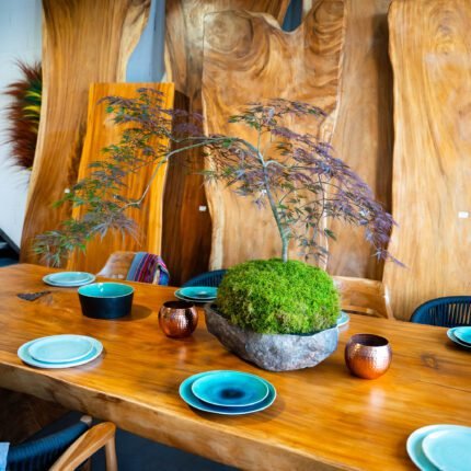 Kokedama - Erable Nain du Japon - N° 12