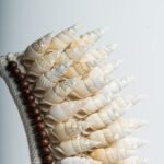 Décoration en coquillage N°12 – Image 2