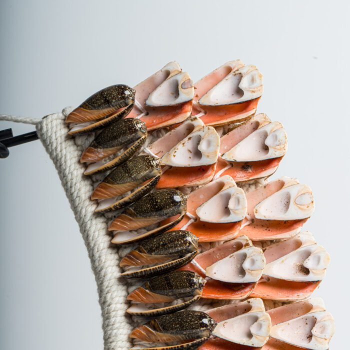 Décoration en coquillage N°10 – Image 2