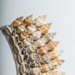 Décoration en coquillage N°1 – Image 2