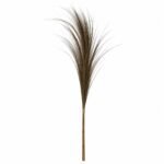 Feuille de Rayung - Brune